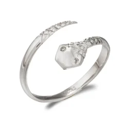 Anillo Serpiente Mini Details