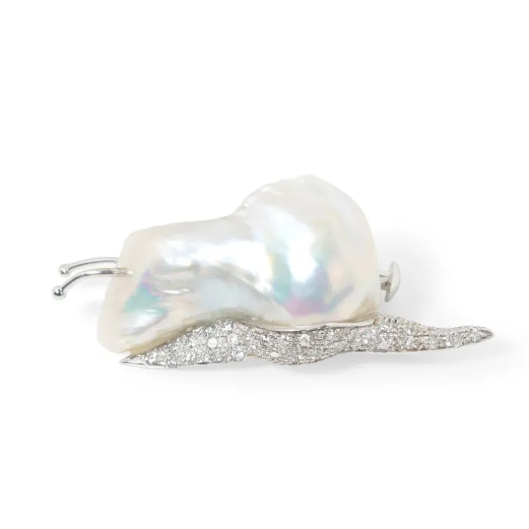 Broche Caracol Naturalmente