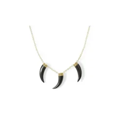 Collar Colmillos Corazón Salvaje